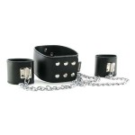 Leather Collar and Cuffs
