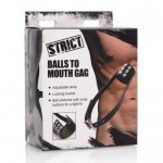 Balls-to-Mouth Gag